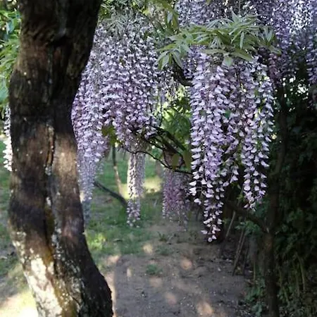 Fee4me O' Pepito 1743 Abbot's House San Bartolomé