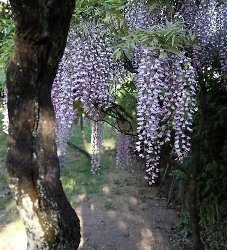 Fee4me O' Pepito 1743 Abbot's House San Bartolomé