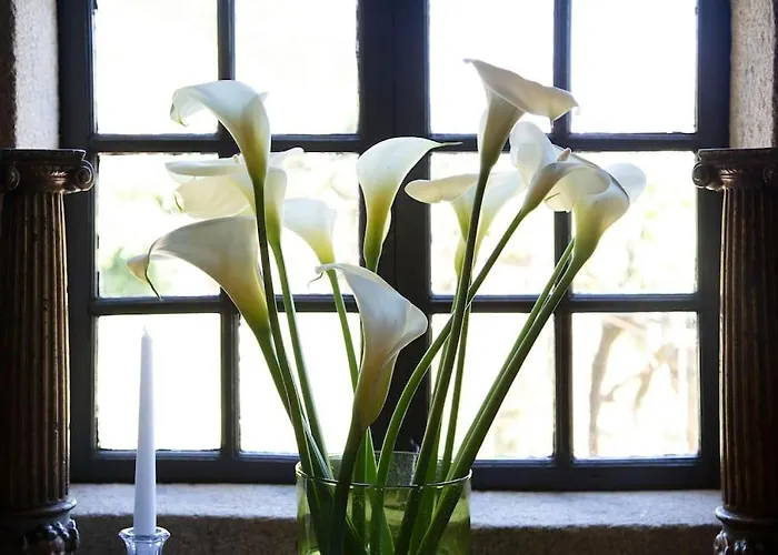 Βίλα Fee4me O' Pepito 1743 Abbot's House